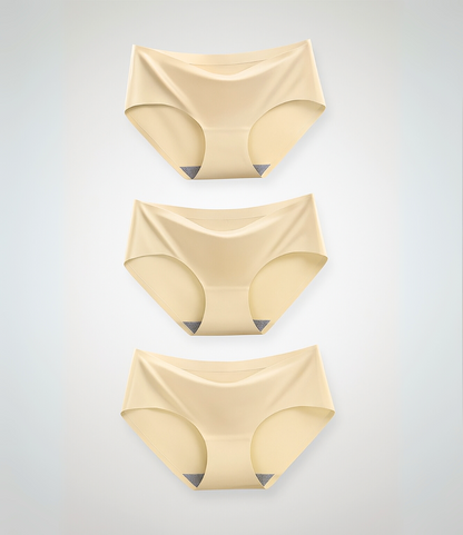 Kit com 3 Calcinhas Extra Conforto